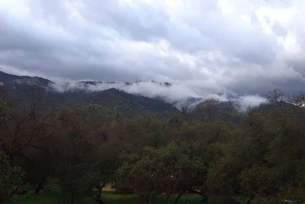 Pebble Creek Villa Three Rivers Dış mekan fotoğraf